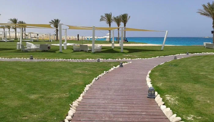 ماونتن فيو راس الحكمة